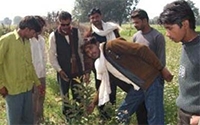 Charity Giving Online - Donate to Harikita