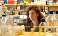 Charity Giving Online - Donate to Damon Runyon Cancer Research Foundation