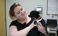 Charity Giving Online - Donate to Heartland Humane Society Charity Giving Online - Donate to Heartland Humane Society