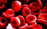 Charity Giving Online - Donate to Foundation for Genomics and Population Health Charity Giving Online - Donate to Foundation for Genomics and Population Health