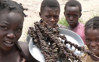 Personal fundraising pages in aid of Lepra Health in Action