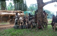 Charity Giving Online - Donate to Rainforest Foundation Charity Giving Online - Donate to Rainforest Foundation