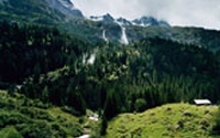 Personal fundraising pages in aid of Pro Natura