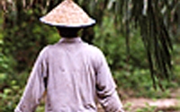 Personal fundraising pages in aid of Rainforest Action Network