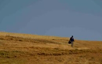 Personal fundraising pages in aid of Polaris Project