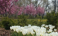Online Fundraising - Donate to New York Restoration Project Online Fundraising - Donate to New York Restoration Project