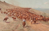 Charity Giving Online - Donate to Dallas Museum of Art