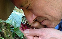 Online Fundraising - Donate to Rainforest Rescue