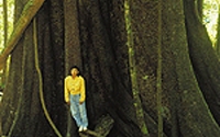 Personal fundraising pages in aid of Rainforest Rescue