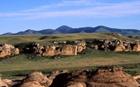 Charity Giving Online - Donate to NatureServe Canada