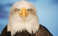 Charity Giving Online - Donate to Prairie Wildlife Rehabilitation Centre Inc.