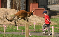 Charity Giving Online - Donate to Detroit Zoological Society