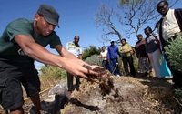 Charity Giving Online - Donate to Food & Trees for Africa Charity Giving Online - Donate to Food & Trees for Africa