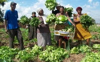 Online Fundraising - Donate to Food & Trees for Africa Online Fundraising - Donate to Food & Trees for Africa