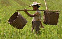Online Fundraising - Donate to Foundation for the People of Burma