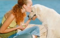 Personal fundraising pages in aid of League for Animal Welfare