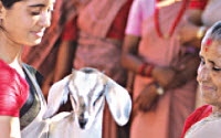 Online Fundraising - Donate to Heifer Project International
