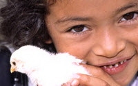 Personal fundraising pages in aid of Heifer Project International