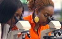Charity Giving Online - Donate to Hampton University