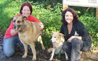 Online Fundraising - Donate to Holly Hedge Animal Sanctuary Online Fundraising - Donate to Holly Hedge Animal Sanctuary