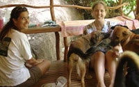 Charity Giving Online - Donate to Noistar Thai Animal Rescue Foundation