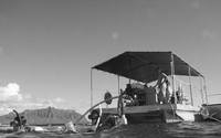 Personal fundraising pages in aid of Hawaii Community Foundation
