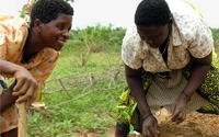 Online Fundraising - Donate to KOMAZA