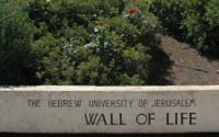 Charity Giving Online - Donate to American Friends of the Hebrew University