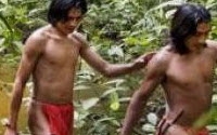 Online Fundraising - Donate to Rainforest Foundation US Online Fundraising - Donate to Rainforest Foundation US