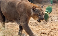 Charity Giving Online - Donate to Houston Zoo Charity Giving Online - Donate to Houston Zoo