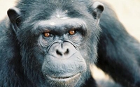 Online Fundraising - Donate to Houston Zoo Online Fundraising - Donate to Houston Zoo