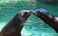 Charity Giving Online - Donate to Indianapolis Zoo