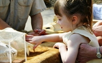 Online Fundraising - Donate to Indianapolis Zoo