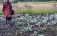 Personal fundraising pages in aid of Kitumusote