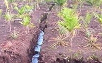 Online Fundraising - Donate to Wetlands International