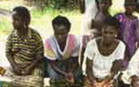 Charity Giving Online - Donate to Pro-Natura International Nigeria