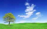 Charity Giving Online - Donate to AbleOne Psychological Services Charity Giving Online - Donate to AbleOne Psychological Services