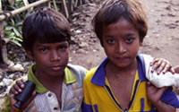 Personal fundraising pages in aid of Hope Foundation