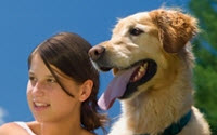 Personal fundraising pages in aid of DMV Foundation