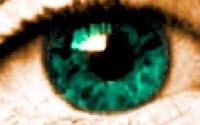Online Fundraising - Donate to Queensland Blind Association Inc.