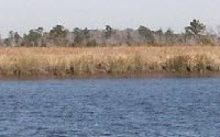 Online Fundraising - Donate to Georgia Wildlife Federation