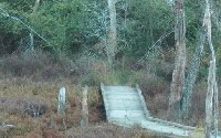Personal fundraising pages in aid of Georgia Wildlife Federation