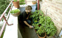 Personal fundraising pages in aid of Food Up Front