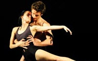 Online Fundraising - Donate to Dance Aotearoa New Zealand