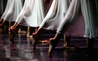 Personal fundraising pages in aid of Dance Aotearoa New Zealand