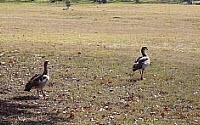 Online Fundraising - Donate to Delta Environmental Centre
