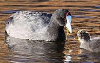 Personal fundraising pages in aid of Delta Environmental Centre