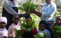 Charity Giving Online - Donate to Food Gardens Foundation