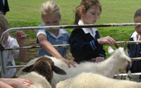 Charity Giving Online - Donate to Heifer International South Africa