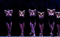 Online Fundraising - Donate to Danse Danse